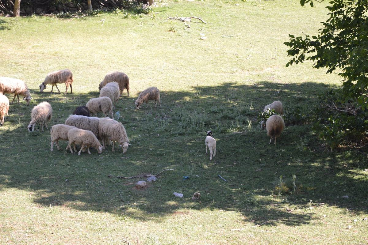 Private Trekking Mount Karfi