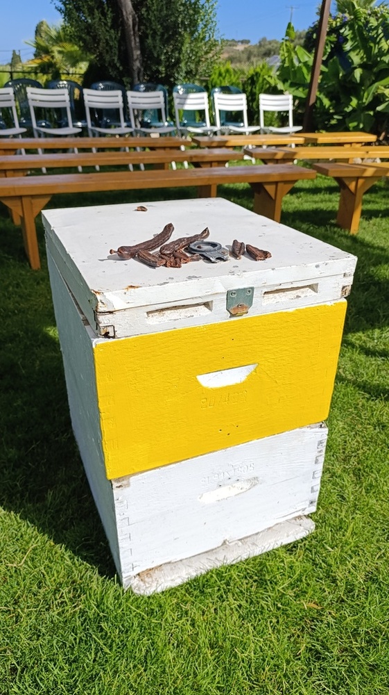 Jeep Tour to Archanes with Wine tasting & Lunch