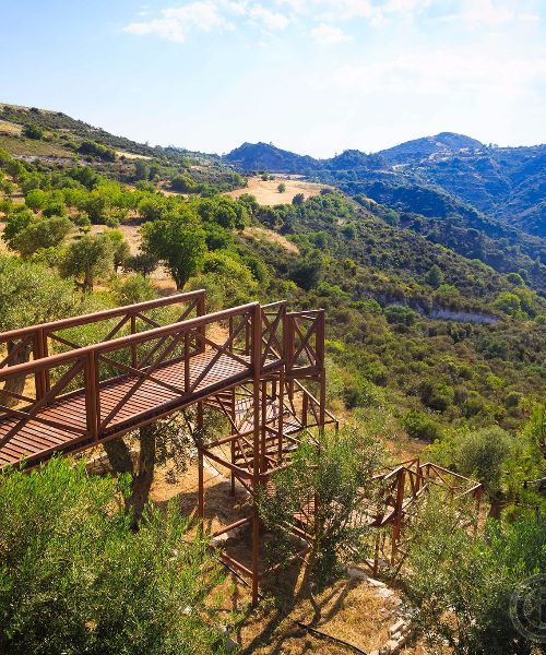 Culinary Experiences!