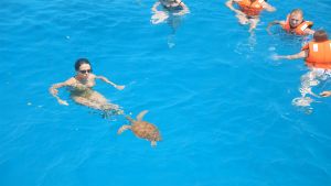 Family Sea Adventure