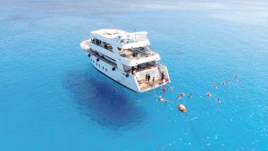 Family Sea Adventure