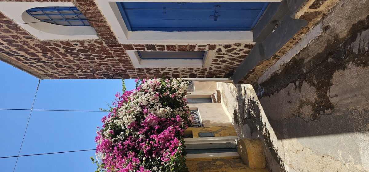Santorini Gentle Stroll: Flat Walks & Local Tales