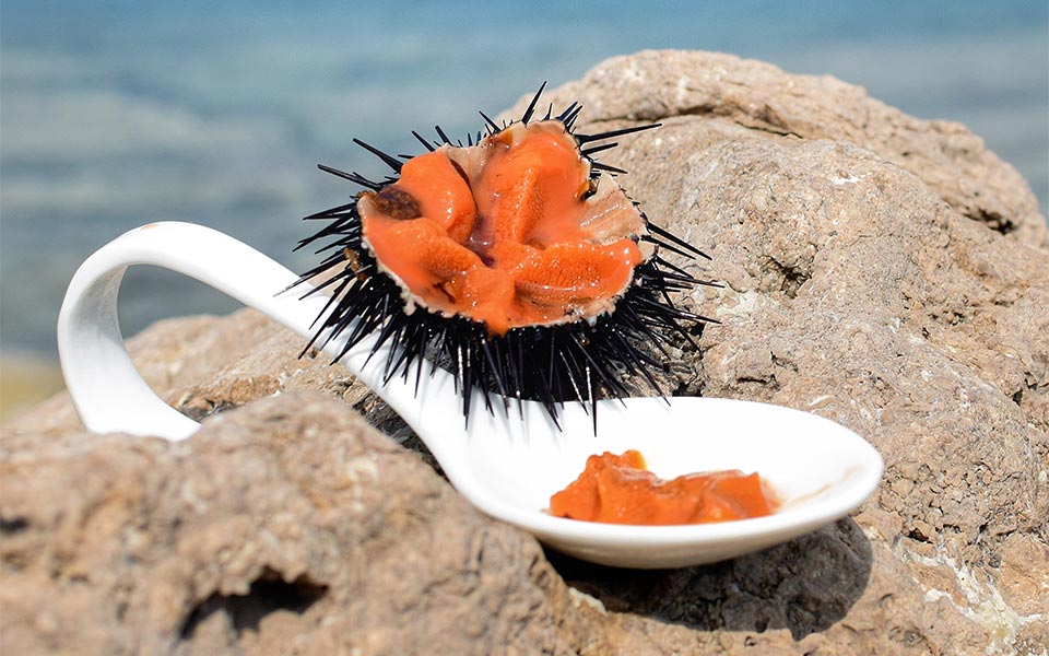 ERIETA 11m | Day Cruise to Lefkas 