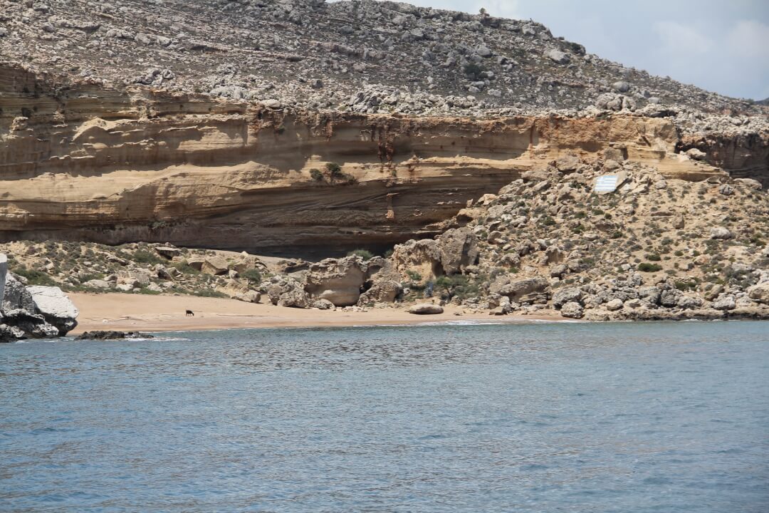 Daily full-day sea excursions