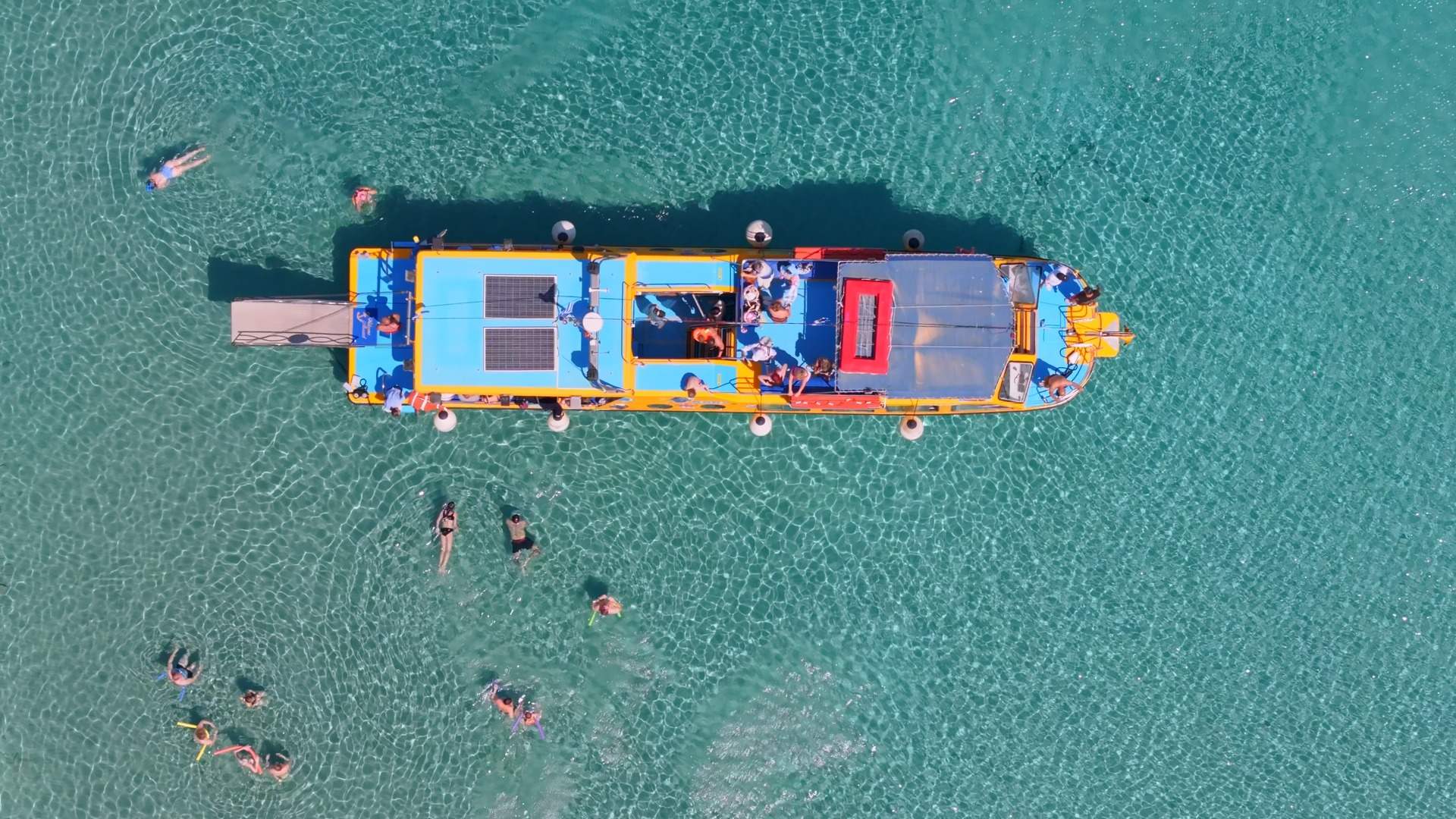 Dory’s Trip: A Glass-Bottom Boat Cruise with Swimming Stops