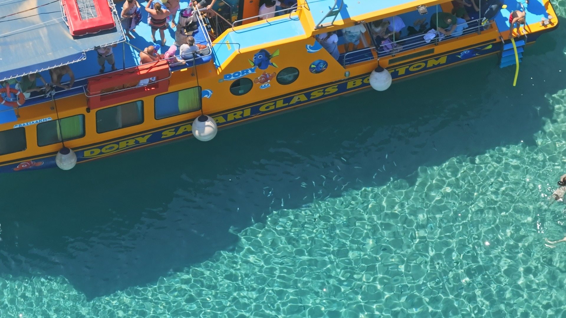 Dory’s Trip: A Glass-Bottom Boat Cruise with Swimming Stops