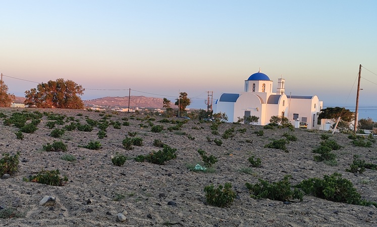 From a Tomato Factory to wineries