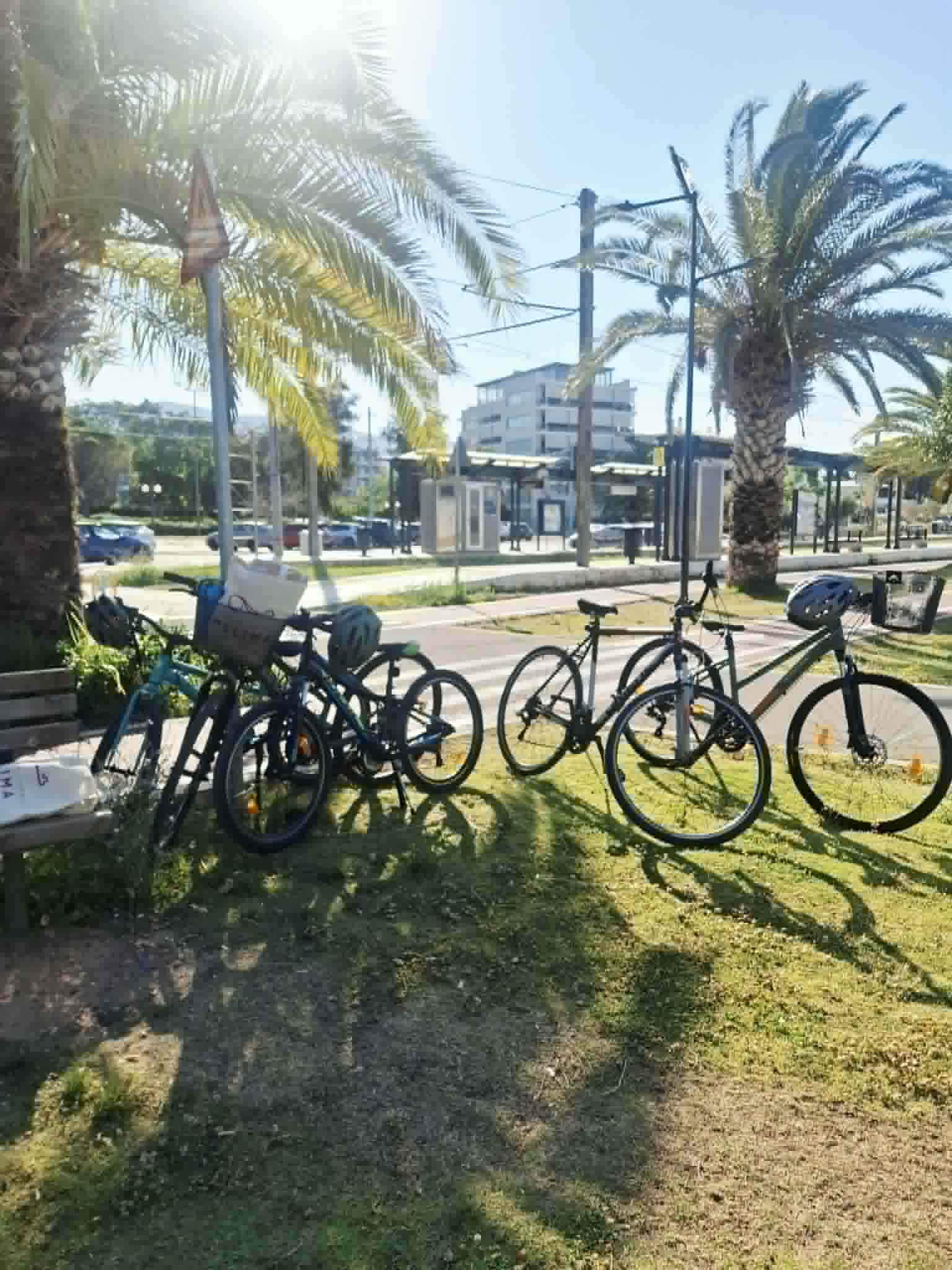 Guided Athenian Riviera Coastal Cycling Experience