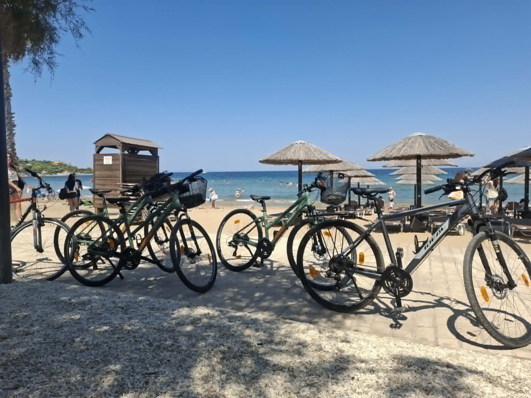 Guided Athenian Riviera Coastal Cycling Experience
