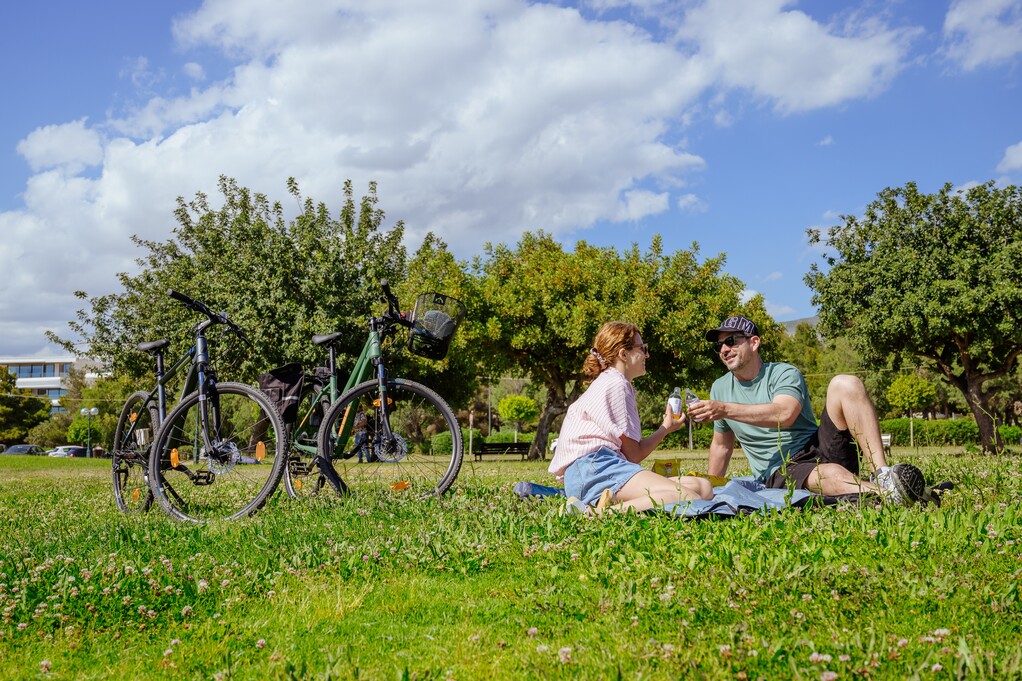 Picnic Leisure Experience