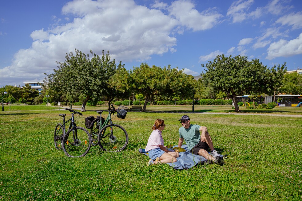 Picnic Leisure Experience