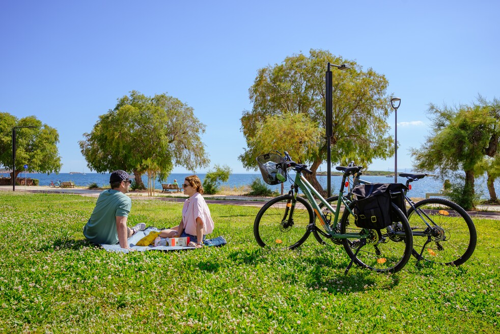 Picnic Leisure Experience