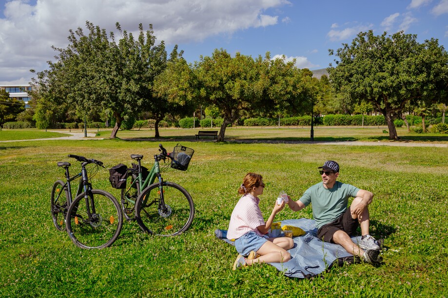 Picnic Leisure Experience