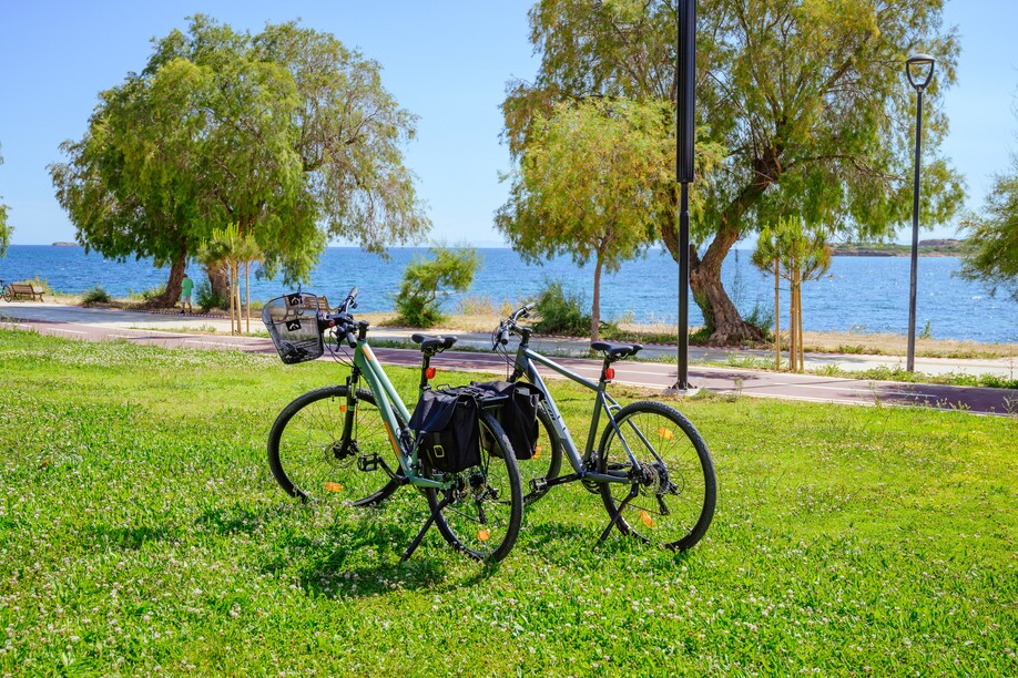 Picnic Leisure Experience