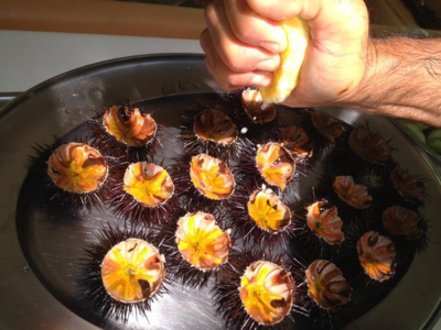 PRIVATE HALF - DAY SUNSET CRUISE: ADAMANTAS - KLEFTIKO - ADAMANTAS