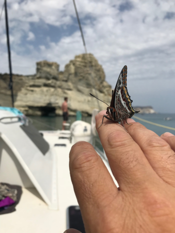 PRIVATE HALF-DAY MORNING CRUISE: ADAMANTAS-KLEFTIKO-AGIA KIRIAKI