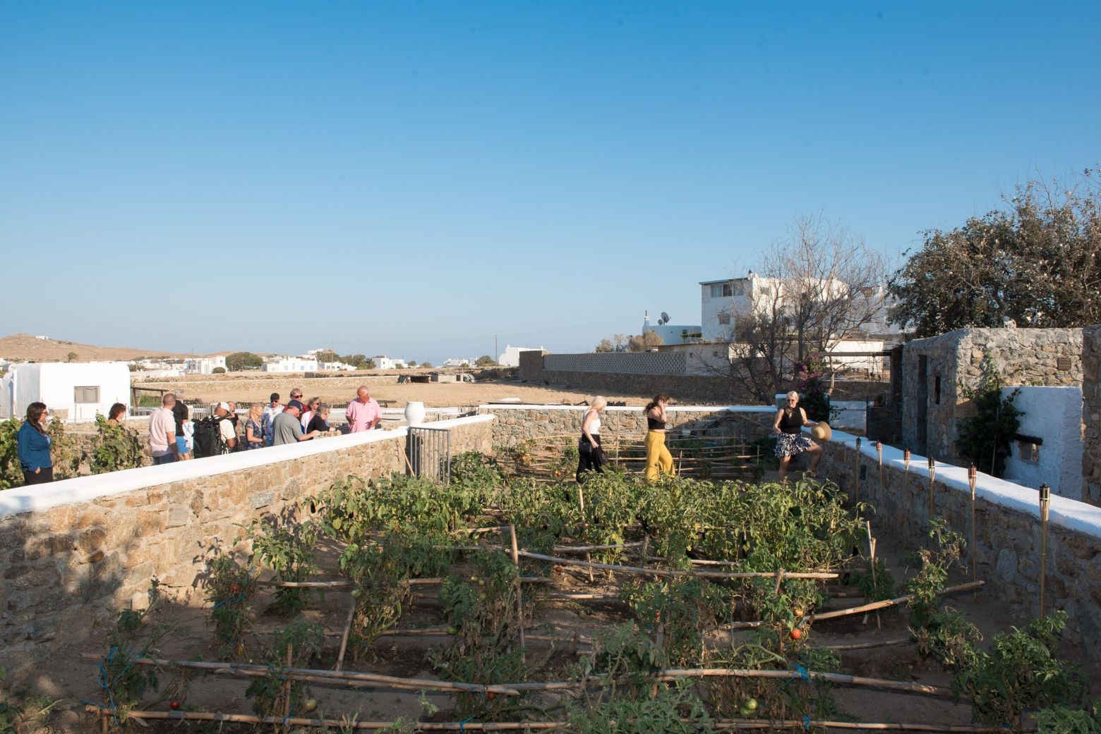 TRADITIONAL LUNCH OR DINNER AT THE MYKONIAN FARM