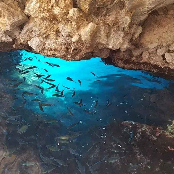 Paleokastritsa 1-hour tour&Swim Stop:Sea Caves,Paradise,Stelari beach