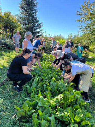 Learn the Flavors of Pelion - Cook with fresh ingredients straight from the garden