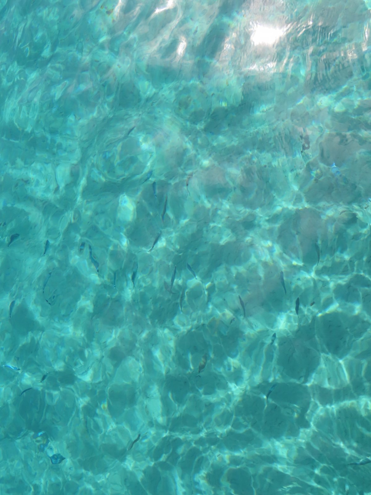 Aegean Sea Adventure on a Glass-Bottom Boat