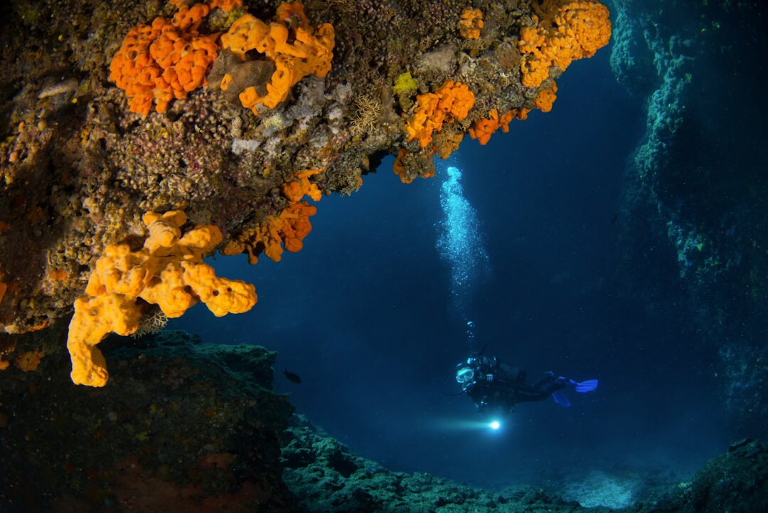 Youth Scuba Experience – Certified Kids