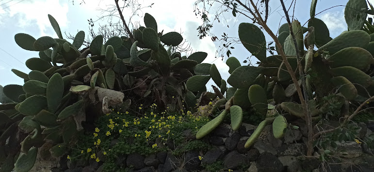 The Grand Hike | Santorini’s Picturesque Villages, Wine Roads and Hidden Treasures