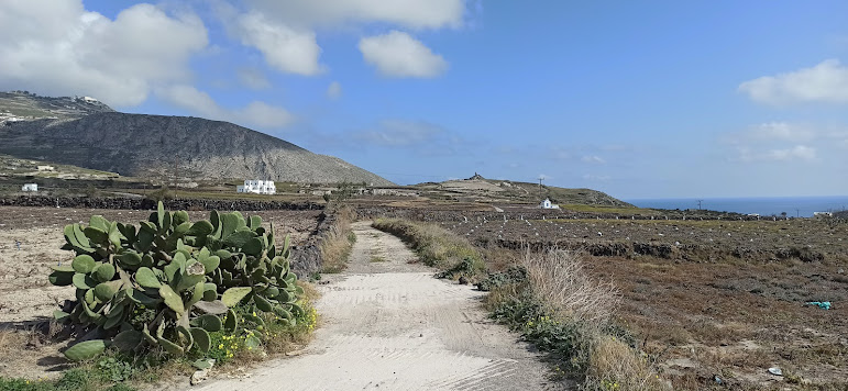 The Grand Hike | Santorini’s Picturesque Villages, Wine Roads and Hidden Treasures