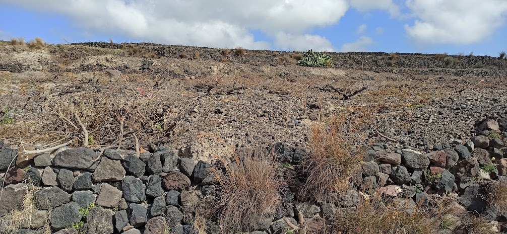 The Grand Hike | Santorini’s Picturesque Villages, Wine Roads and Hidden Treasures