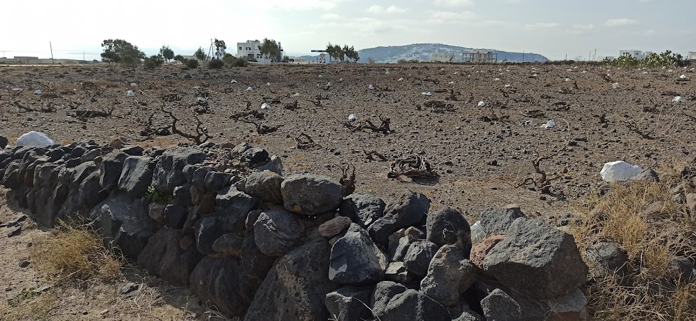 The Grand Hike | Santorini’s Picturesque Villages, Wine Roads and Hidden Treasures