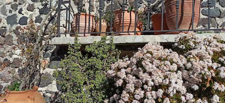 The Grand Hike | Santorini’s Picturesque Villages, Wine Roads and Hidden Treasures