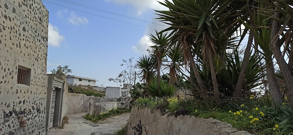 The Grand Hike | Santorini’s Picturesque Villages, Wine Roads and Hidden Treasures