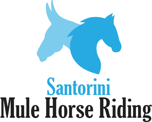 Santorini Mule Horse Riding| Riding Center | Santorini 