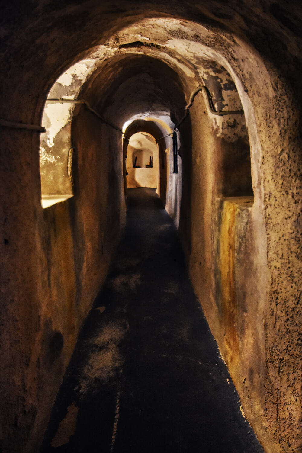 Santorini Private Wine Tasting with Dinner at Venetsanos Winery