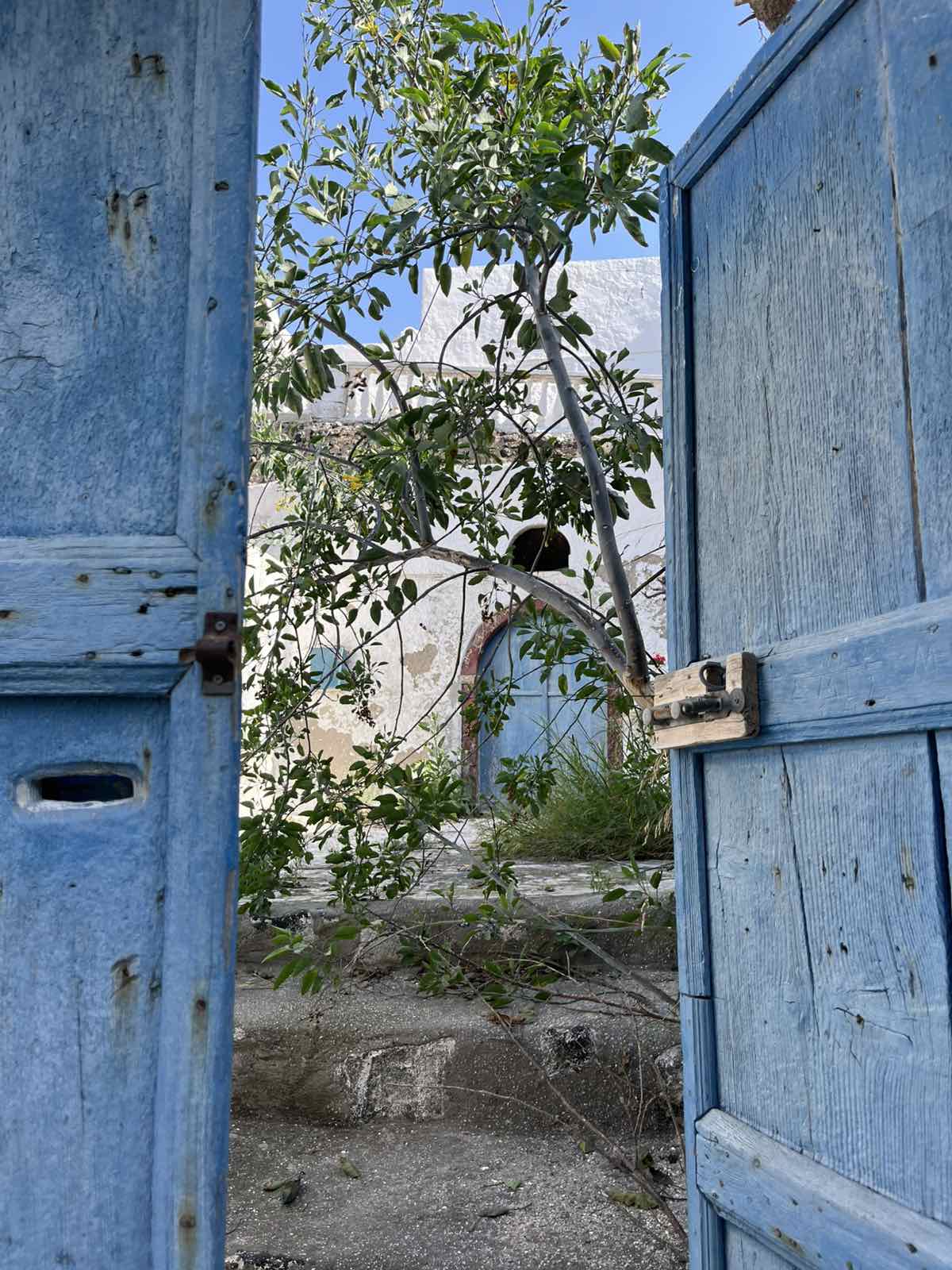 Two islands , One wine journey