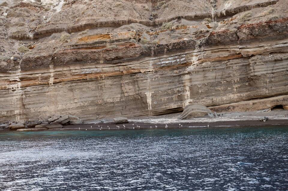 Private Targa Motor Yacht Full Day Cruise with BBQ, Open Bar & Transfers