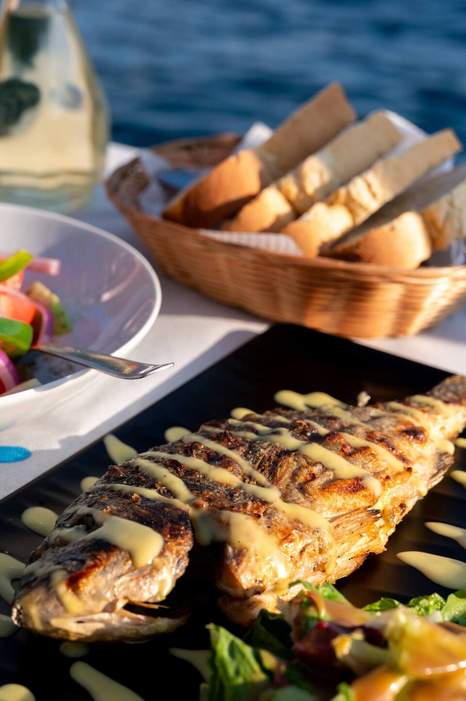 Private Targa Motor Yacht Full Day Cruise with BBQ, Open Bar & Transfers