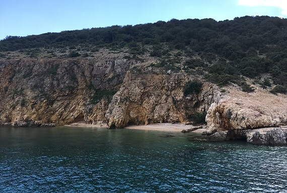 Public 5h Plavnik Island Half-Day Trip