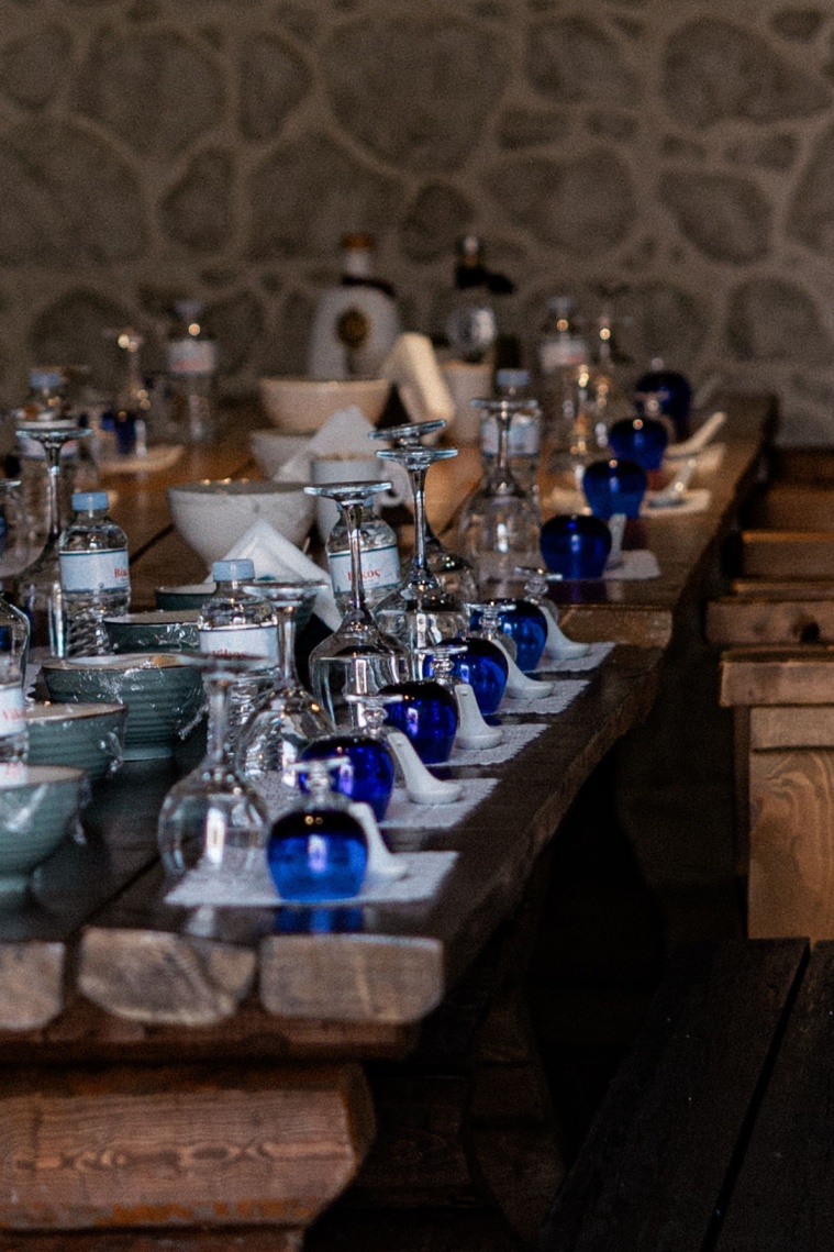 The Governor’s Olive Tour