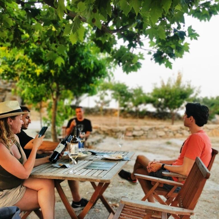 Wine Tasting Experience