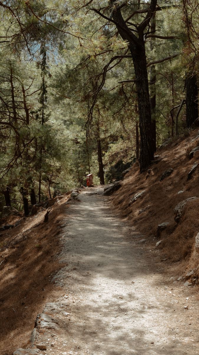 Samaria Gorge Explorer