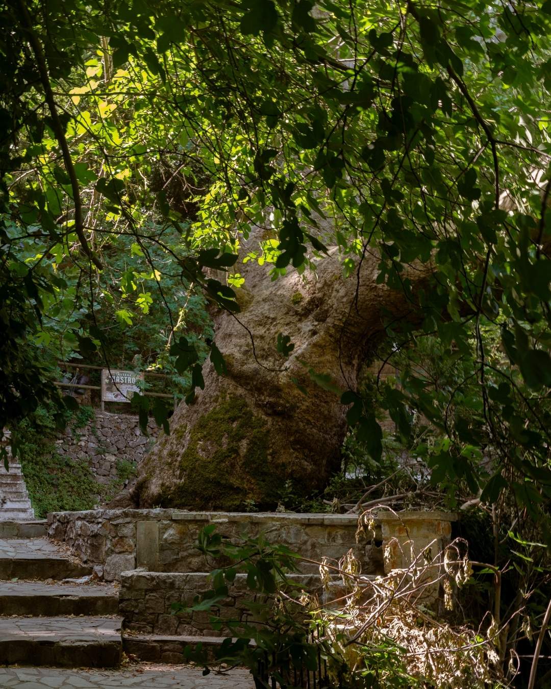 A Day at Lake Kournas and the Springs of Argyroupoli