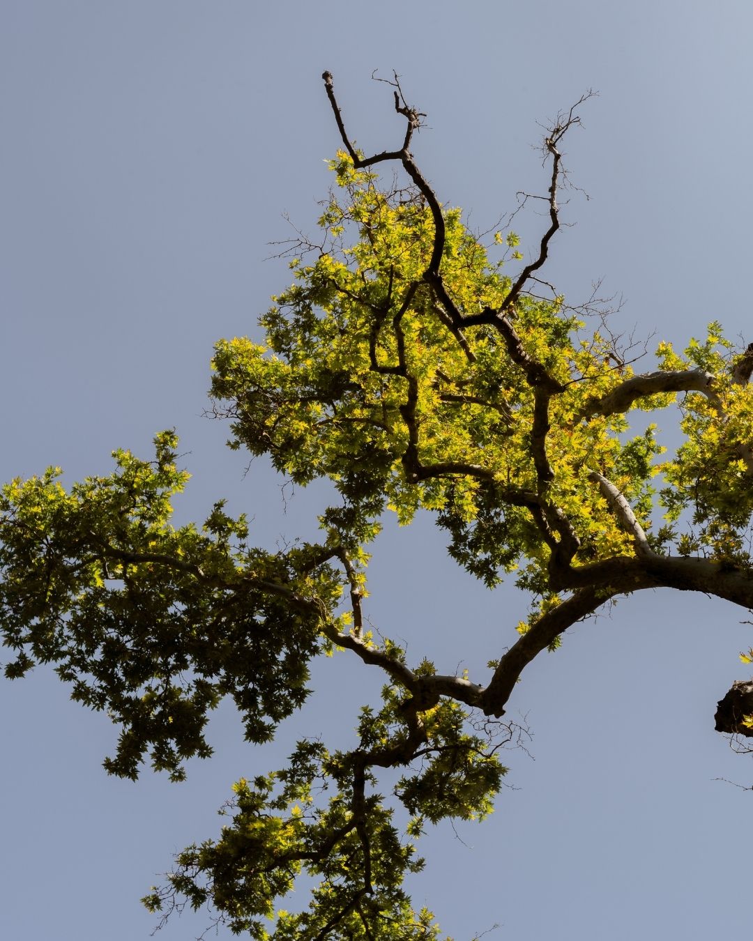 A Day at Lake Kournas and the Springs of Argyroupoli