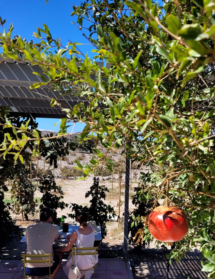 The Ultimate Wineways