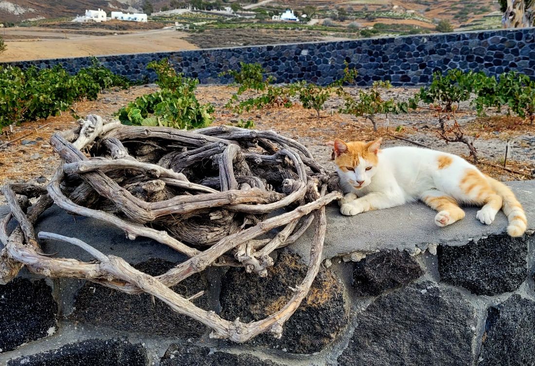 The Ultimate Wineways